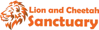 Lion and Cheetah Sanctuary