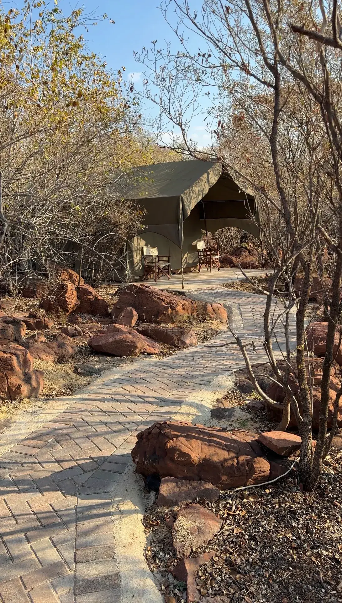 Stone path leading to a canvas tent among the bushveld