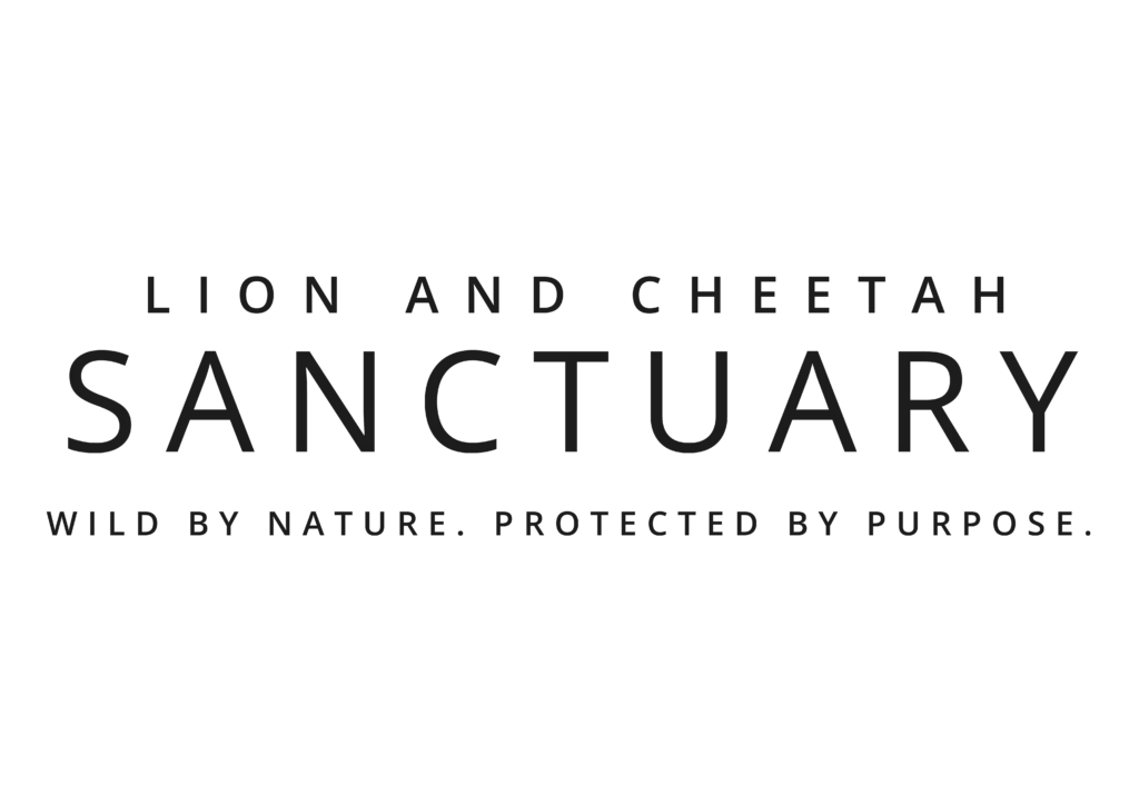 Lion and Cheetah Sanctuary. Wild by nature. Protected by purpose.